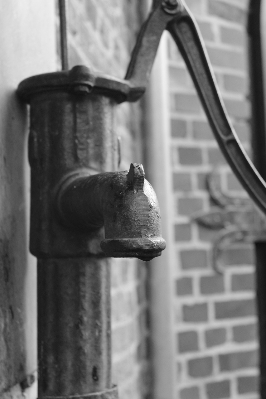 water pump, pump, hand pump, fountain, water, water fountain, nature, wet, gargoyles, flow